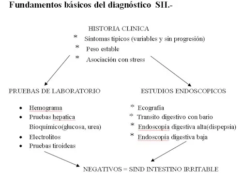 SINDROME DE INTESTINO IRRITABLE (SII).-