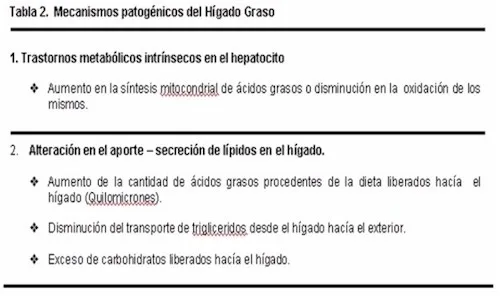 hígado Graso - Todo lo que querias saber