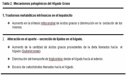 hígado Graso - Todo lo que querias saber
