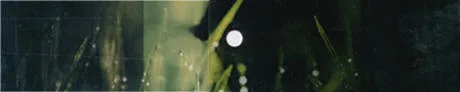 Detección temprana del glaucoma - Guayaquil - Ecuador - CENTRO DE DIAGNOSTICO OCULAR