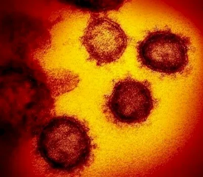Imagen del artículo Alergia: la epidemia del siglo XXI