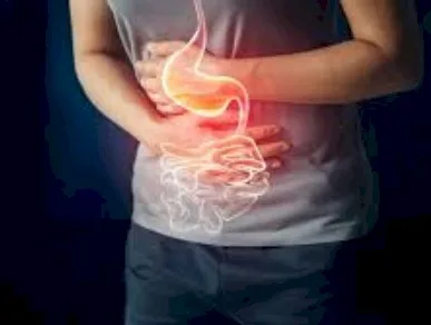 Imagen del artículo El cáncer de estómago