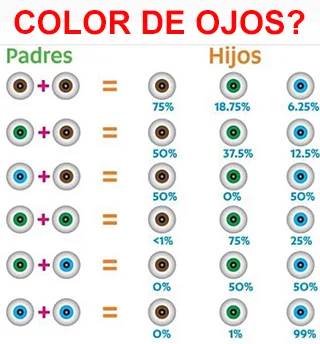 Imagen del artículo HIPONATREMIA