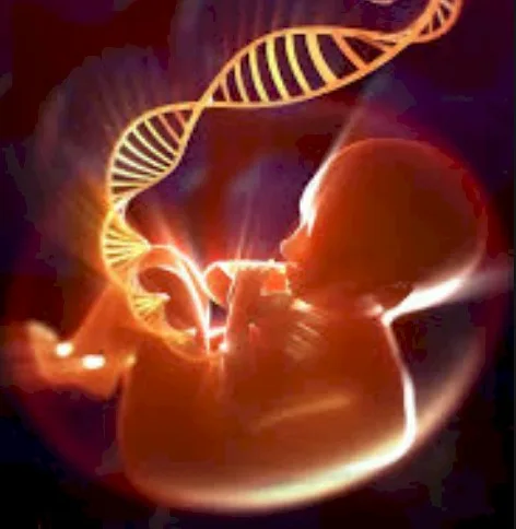 Imagen del artículo Diagnóstico Prenatal con Riesgo