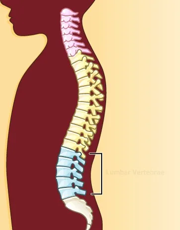 Imagen del artículo Los niños y la columna vertebral