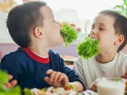 que comen los nios