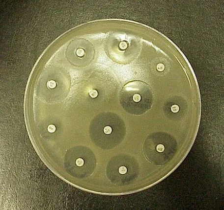 Imagen del artículo Bacterias Resistentes A Antibioticos Que Hacer