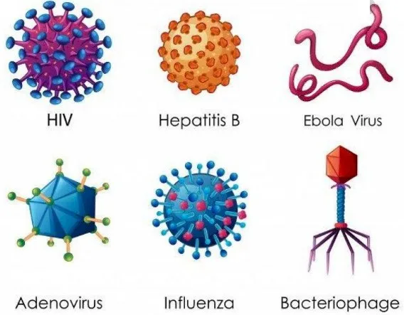 Imagen del artículo ASESINOS SUBMICROSCOPICOS: Los virus y el impacto sobre la humanidad