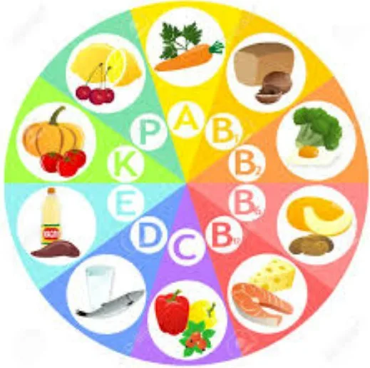 Imagen del artículo Las vitaminas