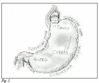 cáncer de estómago