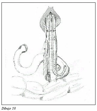 Figura: 29d