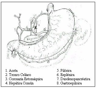 cáncer de estómago