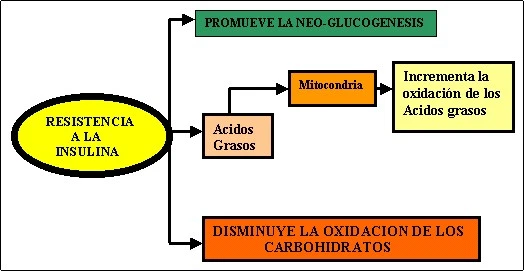 Figura: 30 4