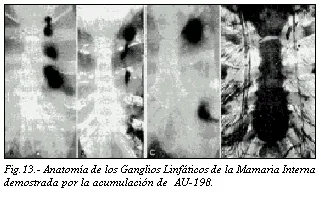 Patología Mamaria. Procesos Inflamatorios e Infecciosos.