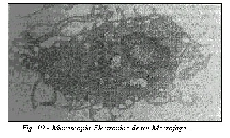 Figura: p801 1