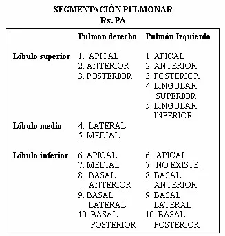 cáncer de Pulmón