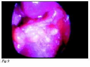 Figura: p682 1