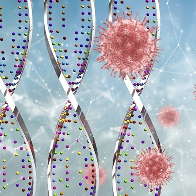 Genética de los virus (coronavirus)