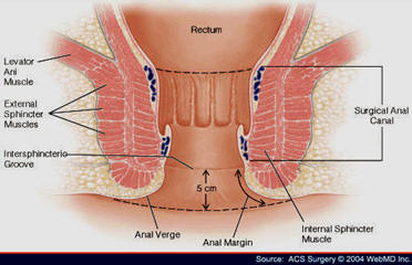 ANOSCOPIA