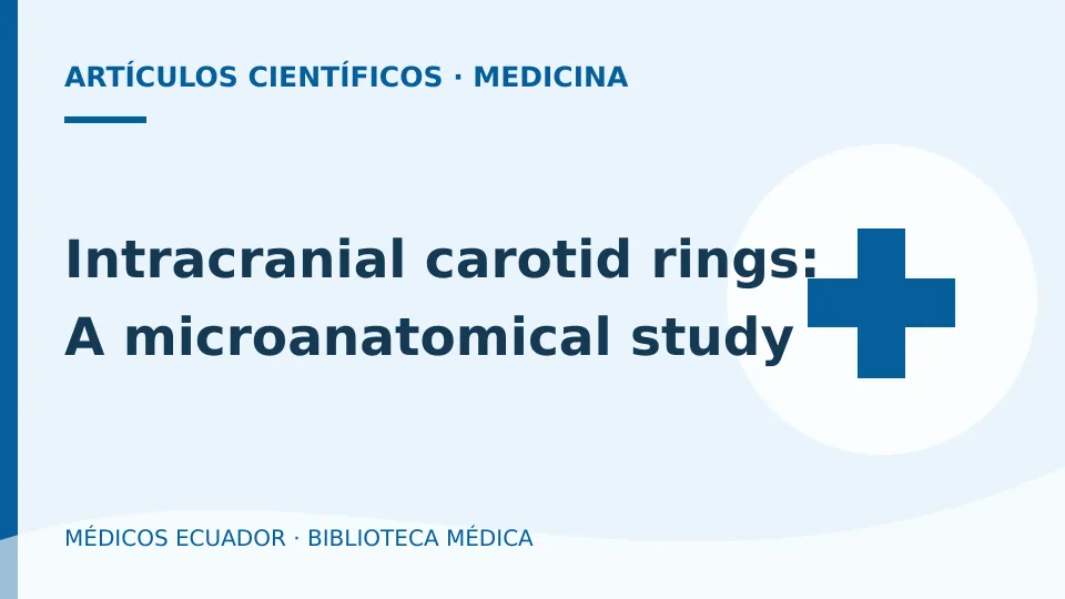 Ilustración informativa de Intracranial carotid rings: A microanatomical study