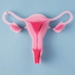 Ginecología y Obstetricia