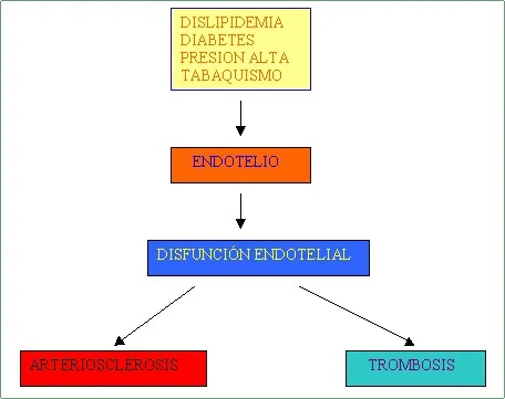 Imagen del artículo ¿Cómo prevenir un derrame cerebral?